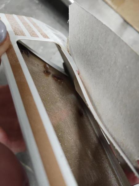 Ilustrační fotografie č. 3