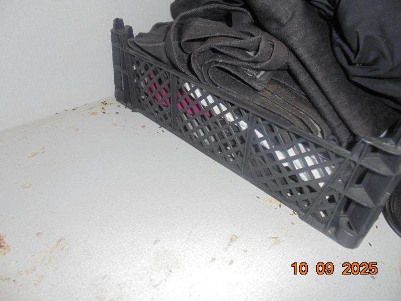 Ilustrační fotografie č. 9