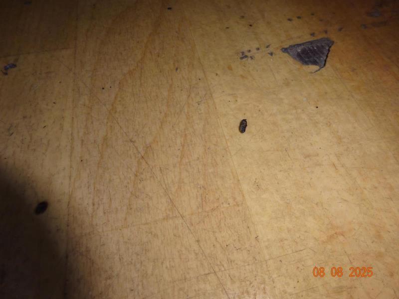 Ilustrační fotografie č. 19