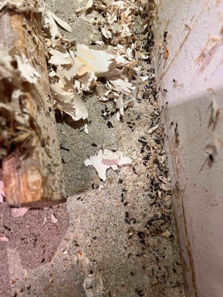 Ilustrační fotografie č. 14