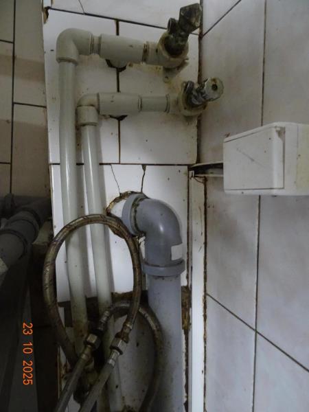 Ilustrační fotografie č. 7