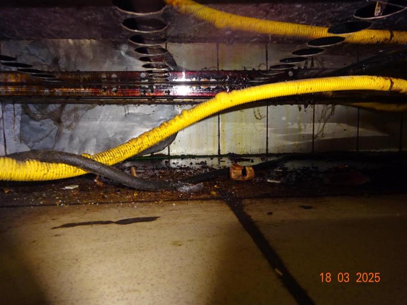 Ilustrační fotografie č. 8