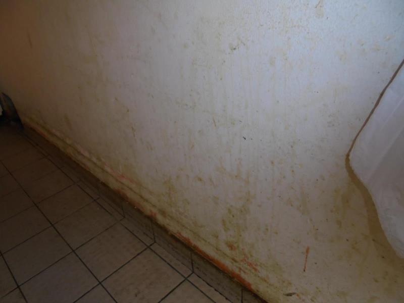 Ilustrační fotografie č. 11