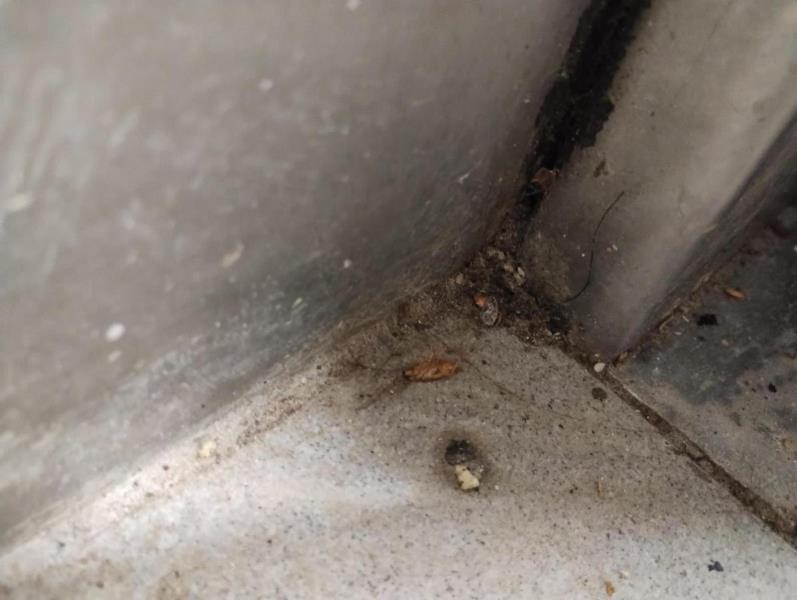 Ilustrační fotografie č. 5