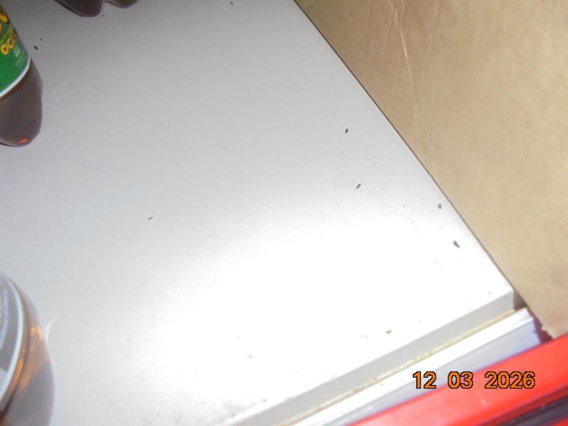 Illustrative photo no. 6