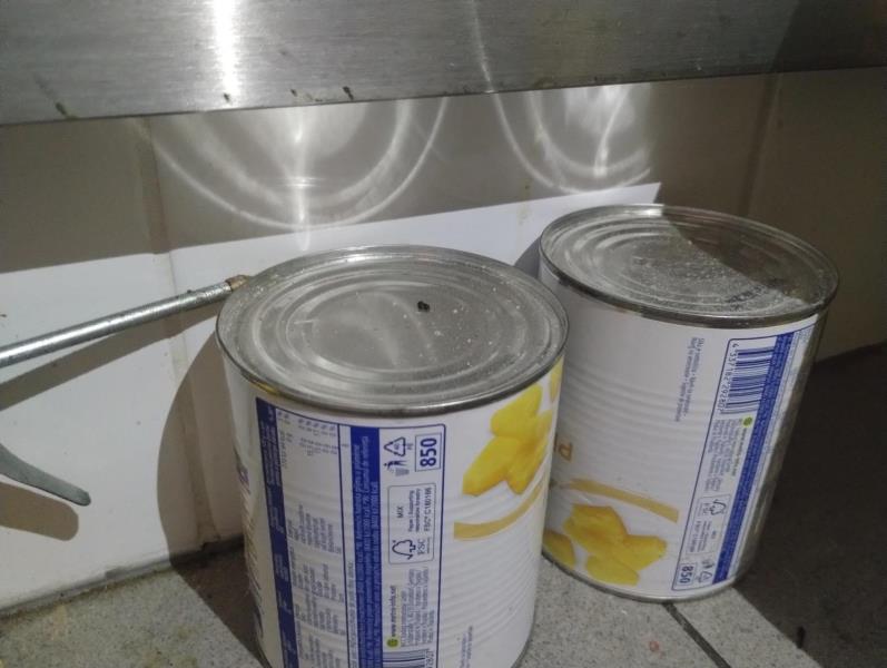 Ilustrační fotografie č. 6