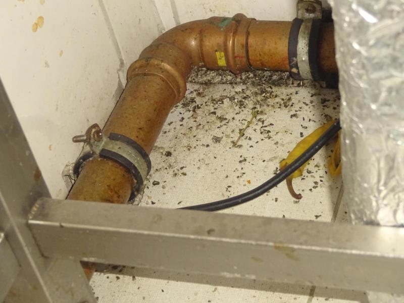 Ilustrační fotografie č. 2