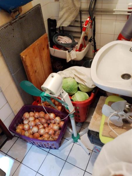 Illustrative photo no. 18