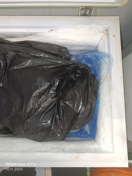 Illustrative photo no. 4