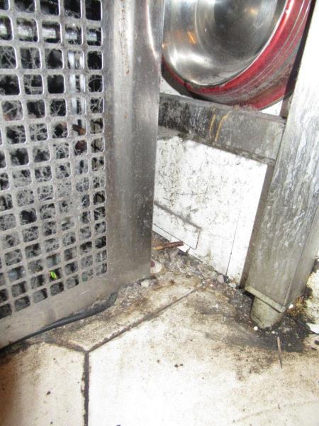 Ilustrační fotografie č. 10