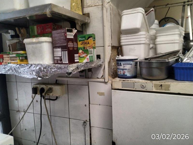 Ilustrační fotografie č. 13