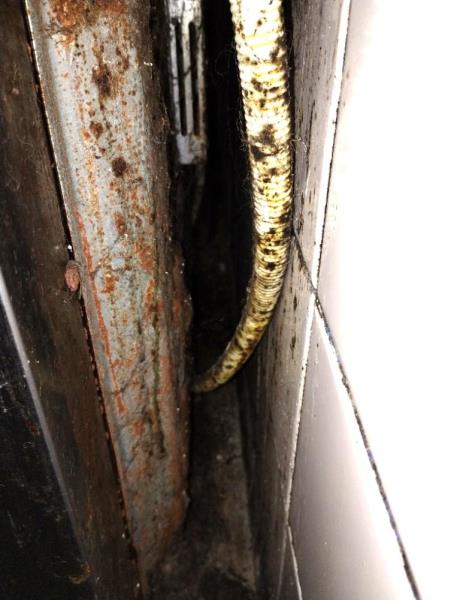 Illustrative photo no. 23