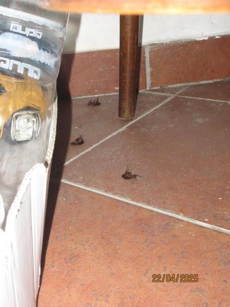 Ilustrační fotografie č. 14