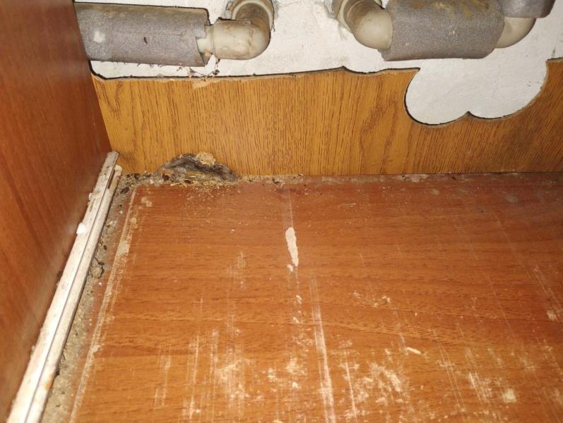 Ilustrační fotografie č. 3