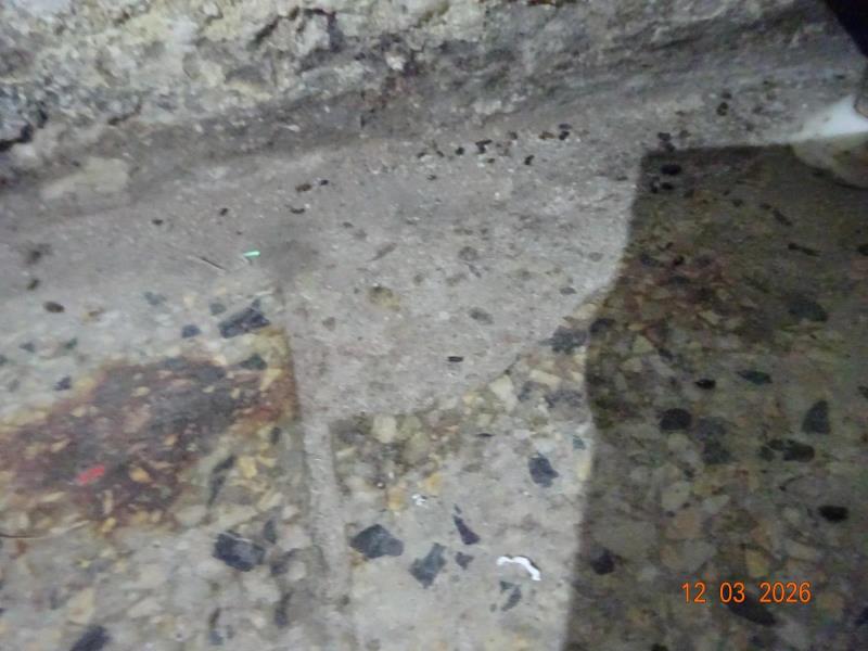 Illustrative photo no. 5