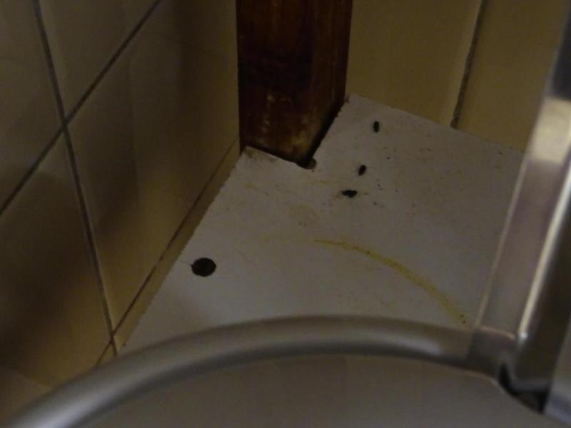 Ilustrační fotografie č. 4