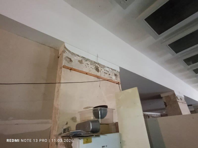 Illustrative photo no. 15