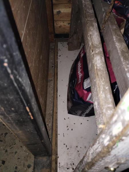 Ilustrační fotografie č. 11