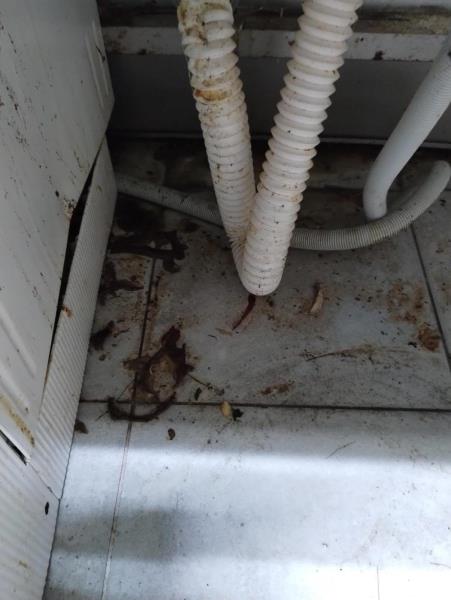 Ilustrační fotografie č. 14