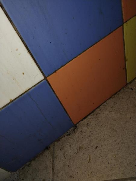 Ilustrační fotografie č. 10