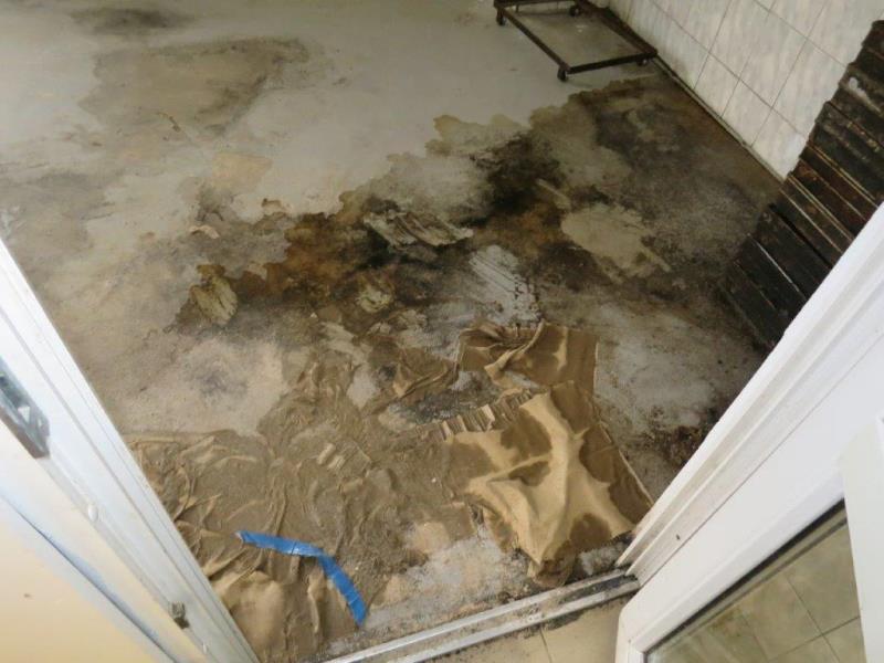 Illustrative photo no. 4