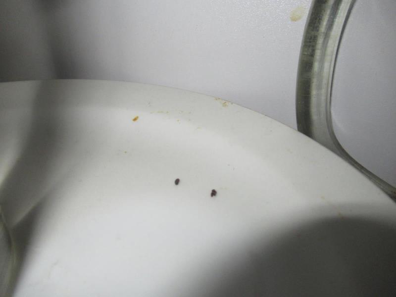 Ilustrační fotografie č. 14