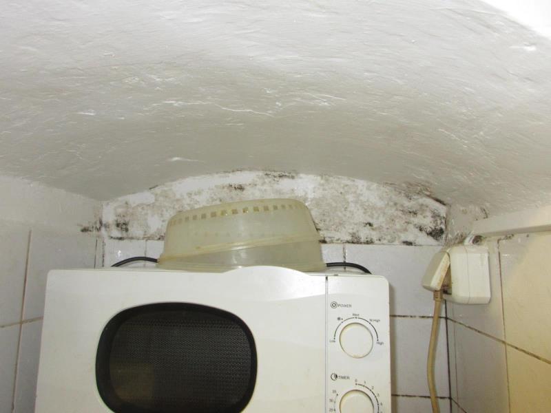 Ilustrační fotografie č. 7