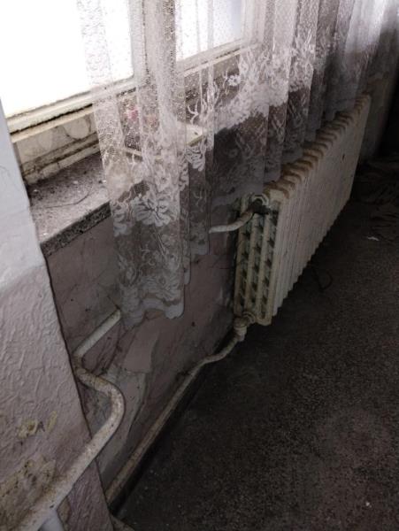 Illustrative photo no. 7