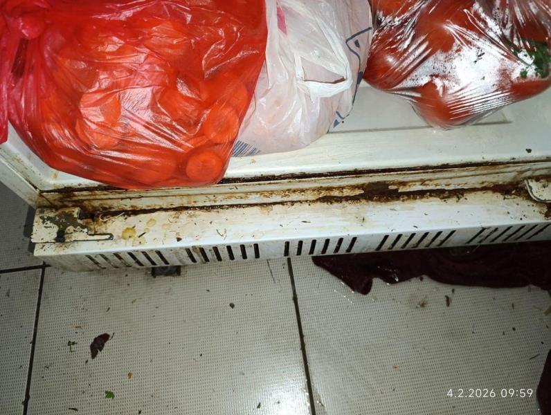 Ilustrační fotografie č. 5