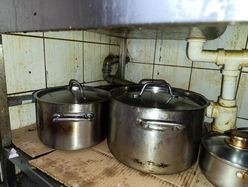 Illustrative photo no. 12