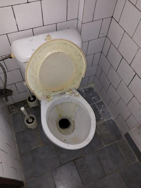 Illustrative photo no. 22