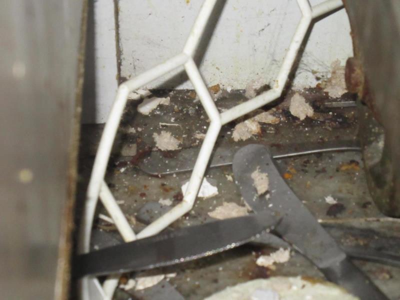 Ilustrační fotografie č. 16