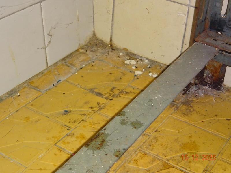 Ilustrační fotografie č. 9