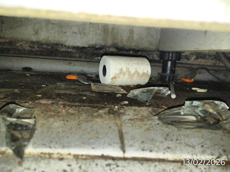 Ilustrační fotografie č. 15