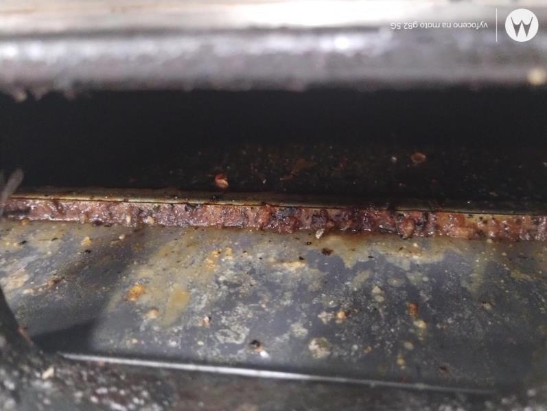 Ilustrační fotografie č. 8